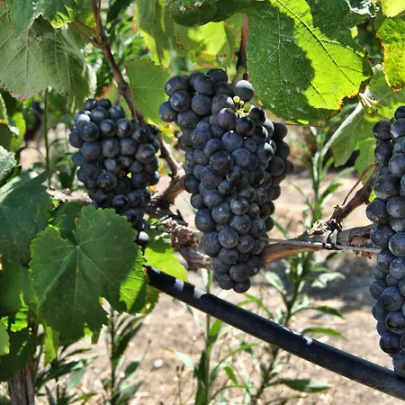 Rural El Mondalon Hotel Las Palmas de Gran Canaria