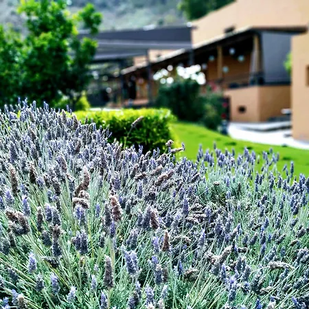 Rural El Mondalon 4*