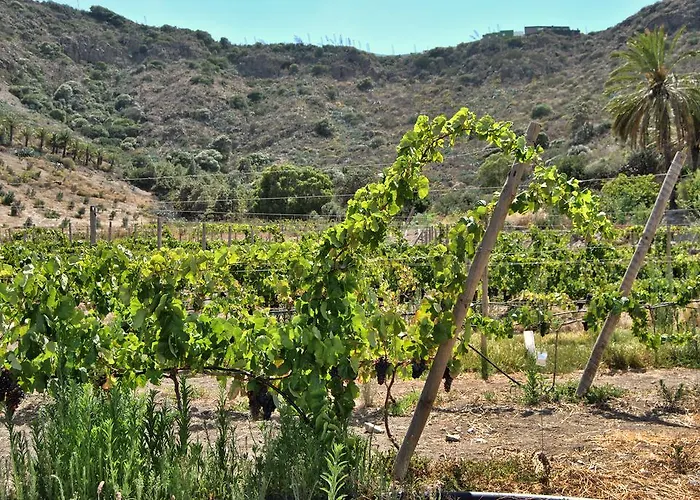 Rural El Mondalon 4*