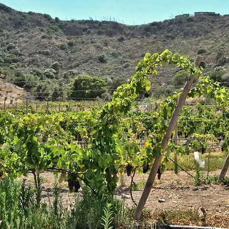 Rural El Mondalon 4*